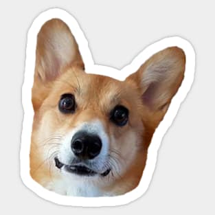 Winston the Corgi Sticker